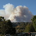 Rick Morris Photo 37
