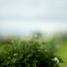 Jennifer Buckley Photo 39