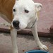 Tammy Foster Photo 9