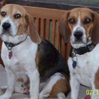 Susan Satterlee Photo 9