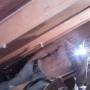 Benjamin Acosta Photo 22