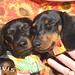 Betty Mackey Photo 16