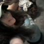 Shelby Rogers Photo 11