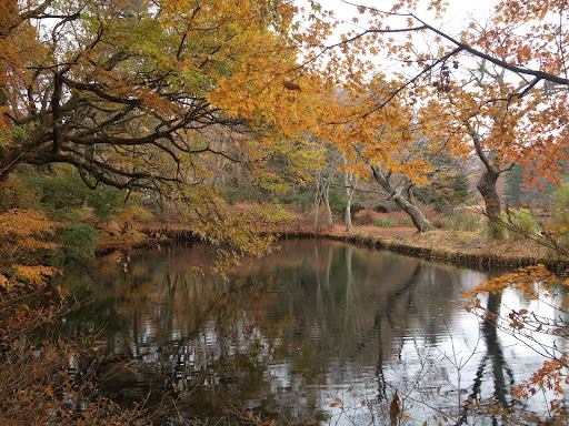 Chiu Ho Photo 3