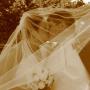 Stacey Hunt Photo 39