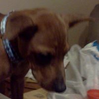 Susan Hughson Photo 3