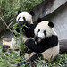 Jie Long Photo 10