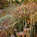 Cheryl Frost Photo 21