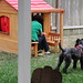 Rebekah Gray Photo 35