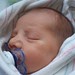 Anthony Thornton Photo 42