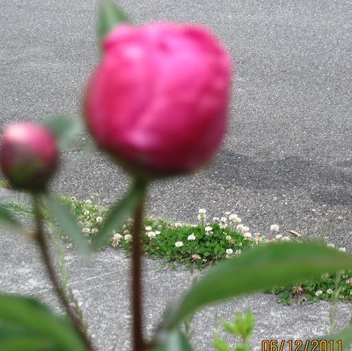 Michelle Lowder Photo 4