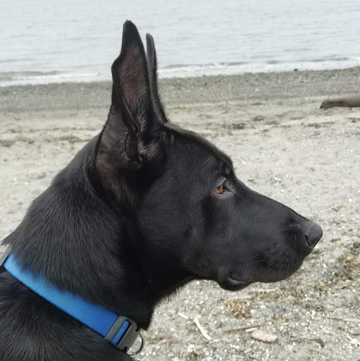 Joseph Diaz Photo 35