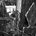 Marion Black Photo 38