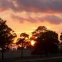 Andrew Snyder Photo 28