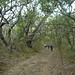 Coleen Roberts Photo 9