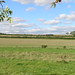 Alton Sutton Photo 14