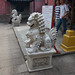 Phuoc Hoang Photo 18