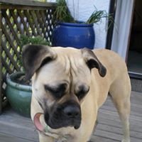 Troy Davison Photo 21