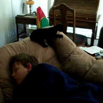 Thomas Tidwell Photo 15