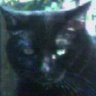 Sharon Galloway Photo 35