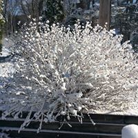 Margaret Black Photo 35