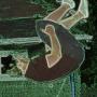 Gregory Hunt Photo 38