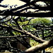 Barbara Burns Photo 42