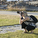 Susan Devlin Photo 42