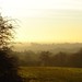 Dawn Hadley Photo 16
