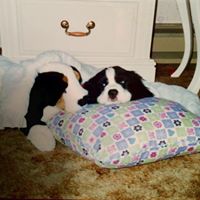 Paulette Murphy Photo 29