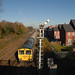 Ash Sutton Photo 7