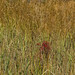 Jeffery Fisher Photo 32
