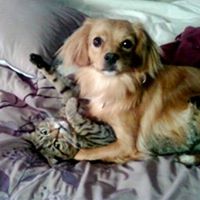 Jenny Mashburn Photo 8