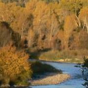 Theresa Dowd Photo 27