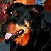 Sally Cannon Photo 32