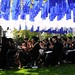 Janet Towne Photo 8