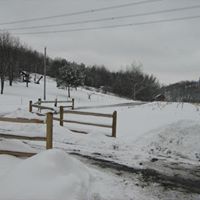 John Shultz Photo 24