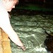 Jerry Ripley Photo 9