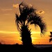 Charles Rabb Photo 12