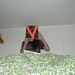Deborah Saul Photo 14