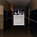 Francis Plummer Photo 12
