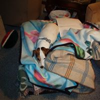 Donna Reinhart Photo 10