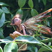 Michelle Bradshaw Photo 16