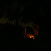 Bryon Quick Photo 7