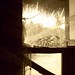 Janice Wooden Photo 11