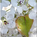 Donna Bradford Photo 22