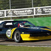 Tony Ferrari Photo 17