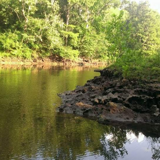 Anthony Mcroy Photo 6