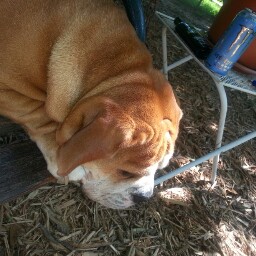 Amy Bowen Photo 11