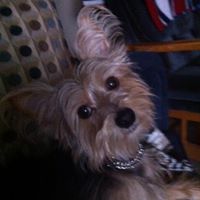 Carol Magee Photo 28